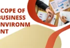 scope of business environment