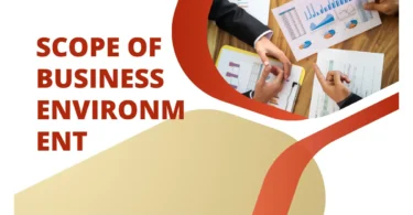 scope of business environment